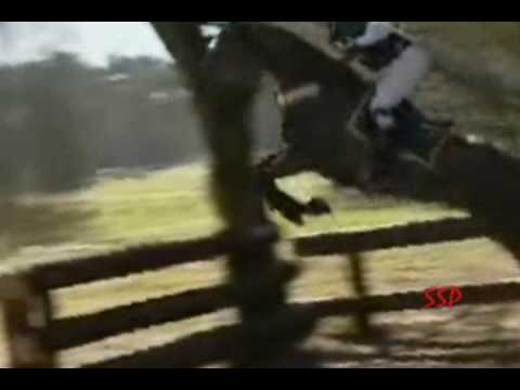 Horse-Tick tock
