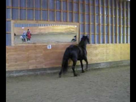 Milady dans toute sa splandeur!!!