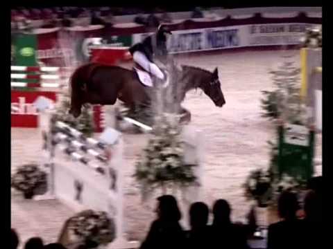 Une vidéo quiivait sur youtube qui démontre bien la puissance des chevaux