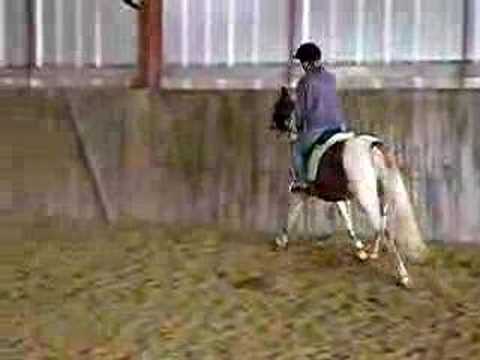 Un bon petit galop et apres une bonne chute !