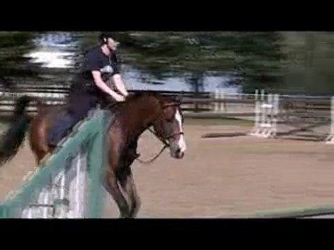 Moi et mon cheval Jazz dans une monte libre