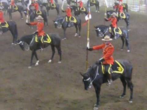 Encor Les Chevaux De La GRC A St-Agapit !!!