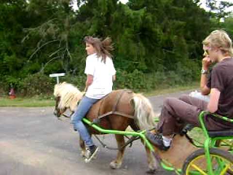 je ne sais pas pour vous mais, ce poney en supporte pas mal pour sa grosseur.