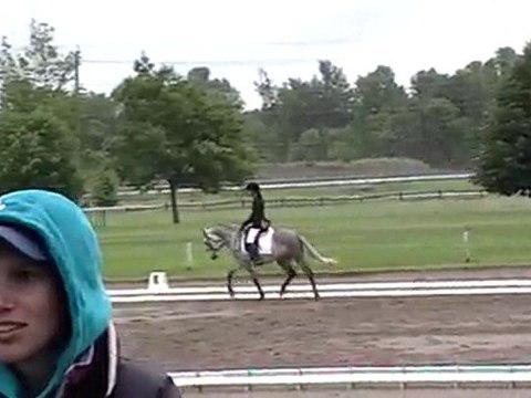Curioso Nepean hrose trial