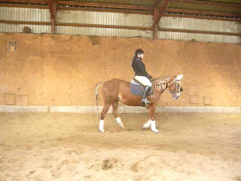 Moi et Mayday