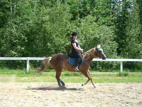 Moi et Mayday