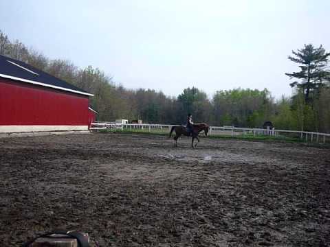 Moi et Maxi, suite, 2e cours