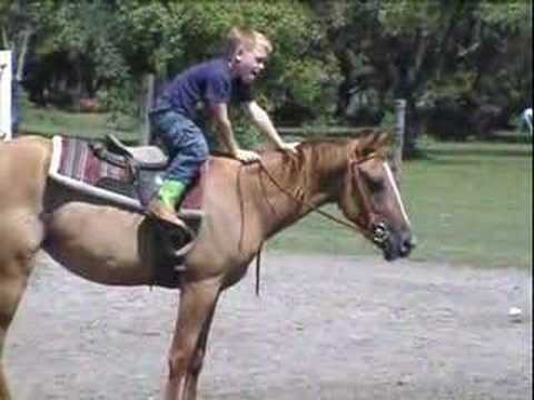 Comme quoi un cheval peut etre tres patient ;P