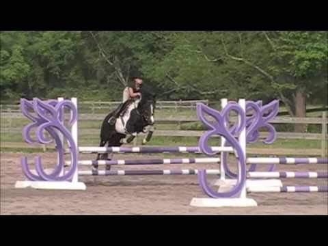 pony jumper