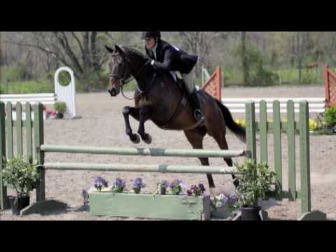 pony jumpers
