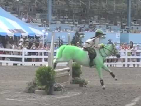 pony hunter