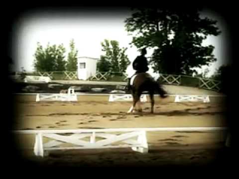 Sony Vegas PRO 9.0 Compiation video que jai fait.. youtube m'a oter la chanson qui &eacute;tait Remember the Name - Fort...