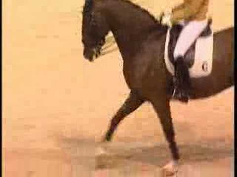 Clinique de dressage avec Anky Van Grunsven