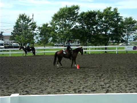 Classe équitation western. La jument avait pas compris qu'on ne fesais pas une classe de vitesse ha ha ah :) Très belle...