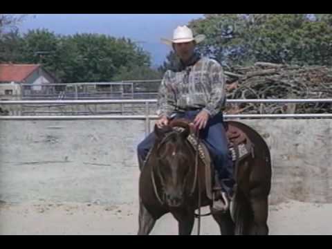Apprentisage Des Spins En Reining ! 2