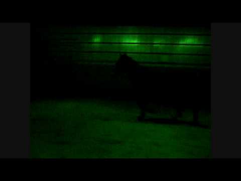 Gus premier saut en manège int &commencait le galop, donc c'est un peu raide.