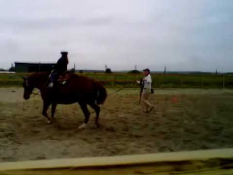 Ma petite soeur et ses d&eacute;buts en &eacute;quitation