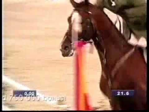 vid&eacute;o sur l'&eacute;quitation - puissance du cheval en saut