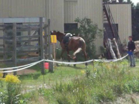 Moi et ma jument &agrave; la comp&eacute; de TREC &agrave; Champlain, 7 ao&ucirc;t 2010! PTV, Immobilit&eacute;, Montoir et slalom. :)