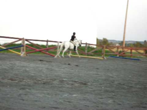 Moi et Hercule en saut des commentaires sur ma position?