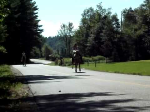 Moi sur ma jument(la palomino) et inMotion sur son beau Cowboy ;)