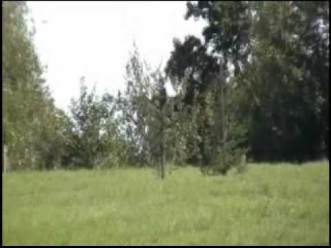 Robinson 2, training avec mon cheval