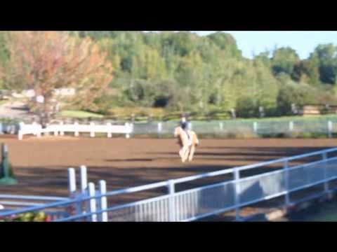 Moi et Fay a Bromont ! Parcours de Chass Poney Samedi ! Comm ?