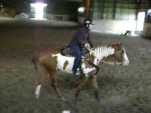 sultan dans ses premiers galop