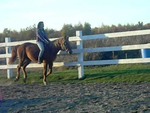 Petit galop sans selle avec mon bébé :)