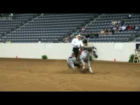 kentuchy cup reining :dell hendricks and starbucks sidekick