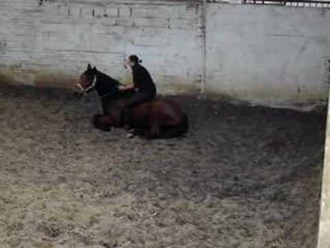 Le cheval glissant