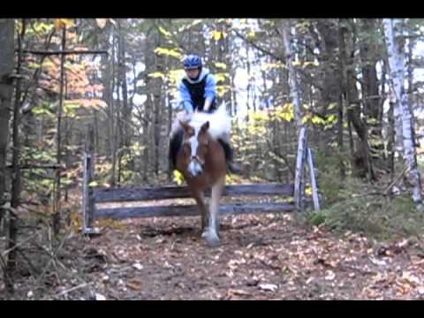 Montage pour mon concours amical: Costume et ' Cross country' amateur