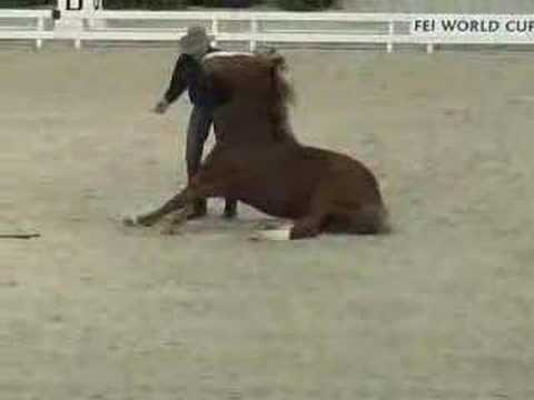 Un cowboy et son cheval font un show