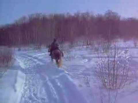 Ma mère et Silver en rando...!