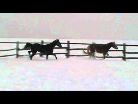 Quel trot!