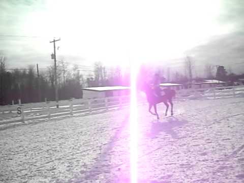 mon cheval saut long spotmes vrmt beaux commentaire ou voer si vou aimer