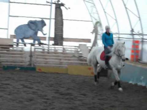 Ma chum et moi qui nous sommes amus&eacute;es &agrave; faire sauter mon cheval qui travail pratiquement juste en dressage!...Mireille...