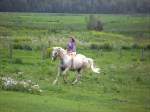 Un petite retour sur mon année 2010 :)