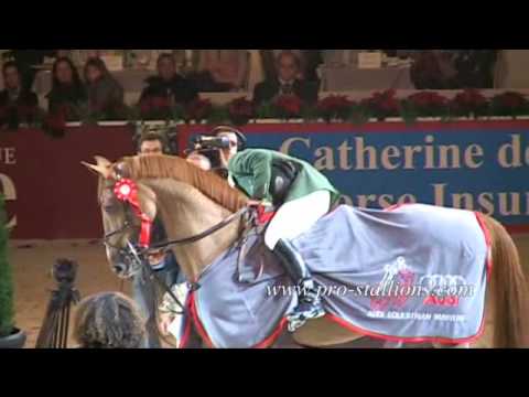 equestrian, it's my life !