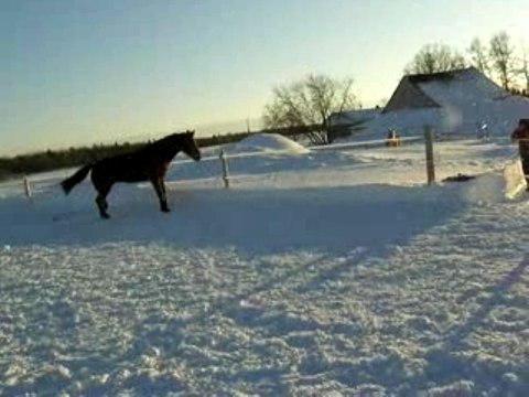 Saut en liberté...un très beau refus et puis on le passe!