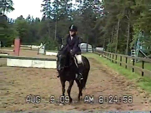 Vid&eacute;o de ma premi&egrave;re comp&eacute;tition de saut d'obstacle,  classes  &eacute;quitation junior C/ nouveaux cavaliers et chasseur...