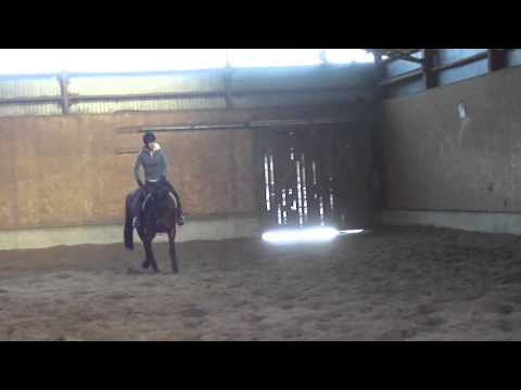 Voyez vous une am&eacute;lioration dans son trot et galop!Commentaires constructif!je sais c pas parfais mais j y travail!