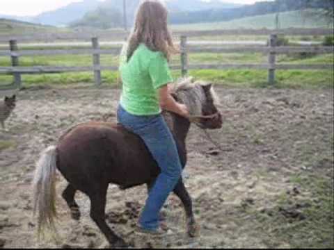 j'aime pas du tout ce que cette fille fait avec ces chevaux , c'est inutile... Et vous, qu'en pensez vous?