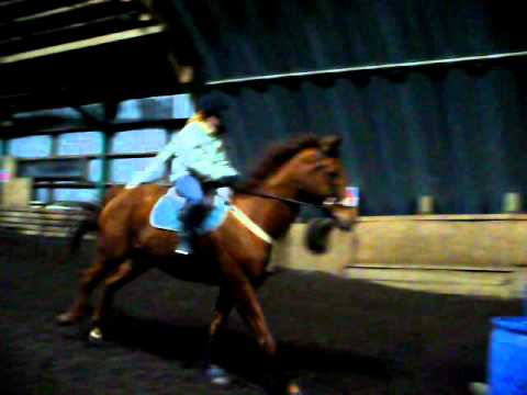 3pi6...mais j'arrive pas a visualiser si sur ce vidéo mon cheval est sur les postérieurs ou sur le devant..peut etre...