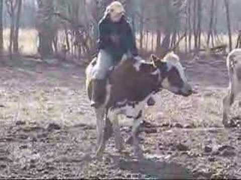 Si un cheval coute trop cher, il y a une autre option... :)