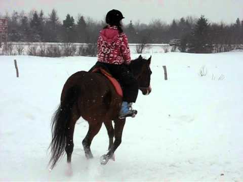 galop avec mon cheval préféré !