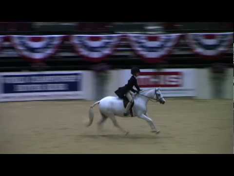 Yer trop cute (L) le plus jolie poney hunter ke j'ai vu :O j'adore!