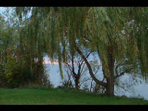 Titre : Ballad of a Runaway Horse - Emmylou Harris
