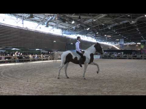 Liberté by Cheval-Attitude - Equitalyon 2010