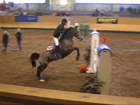 Les poneys saute super bien :P